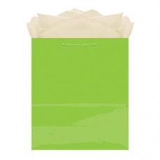 Gift Bag-Medium Bag Glossy Kiwi