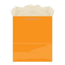 Gift Bag-Medium Bag Glossy Orange Peel