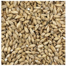 BSG RAHR White Wheat 1 L