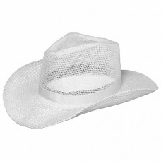 White Straw Cowboy Hat