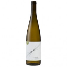 Project M Schlussel Riesling 2019