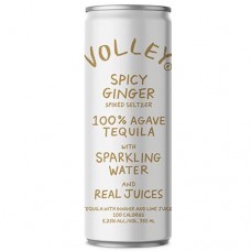 Volley Spicy Ginger Spiked Seltzer 4 Pack
