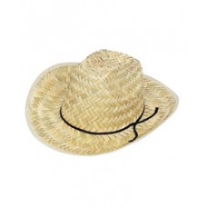 Western Cowboy Hat (Adult)