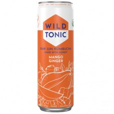 Wild Tonic Mango Ginger Hard Kombucha